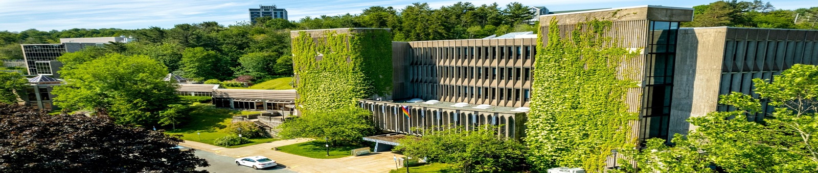 Health Sciences, Medicine & Sciences at Mount Saint Vincent University